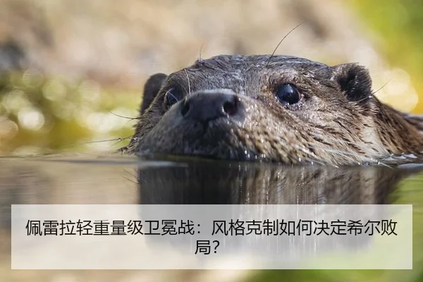 佩雷拉轻重量级卫冕战：风格克制如何决定希尔败局？